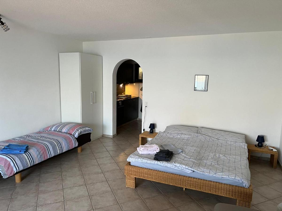 Gambarogno 1 Zimmer Apartment Mit Seesicht Und Pool מראה חיצוני תמונה
